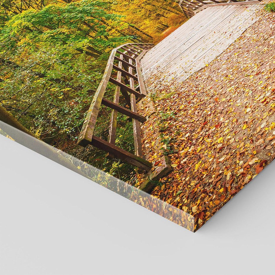 Obraz na płótnie 40x40 - Spacer Ścieżką w Las - ścieżka, spacer