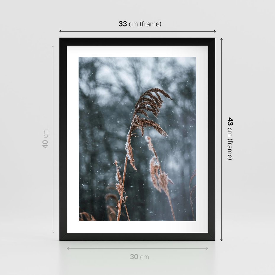 Plakat w ramie 30x40 - Zima na Łonie Natury - sucha wysoka trawa, w zimie - rama czarna