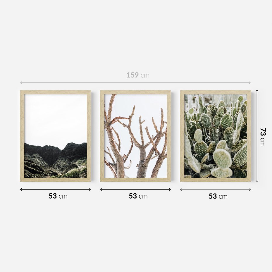Zestaw obrazy w ramie 50x70 galeria - Pustynia, kaktusy, zieleń, boho - rama drewno