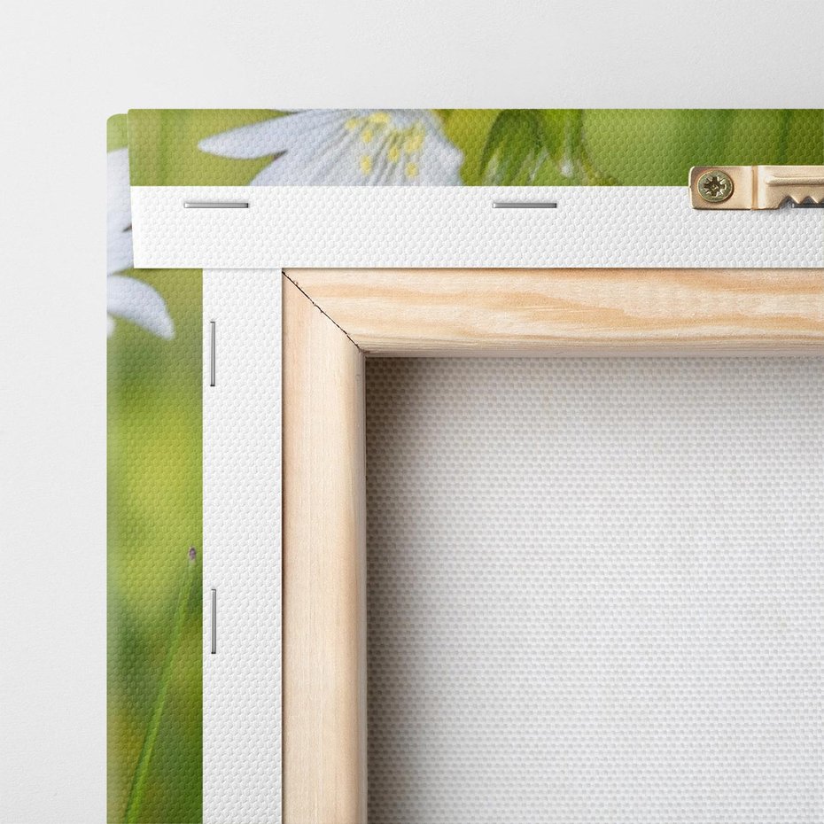 Obraz na płótnie 30x30 - Kolorowa łąka - stokrotki, łąka