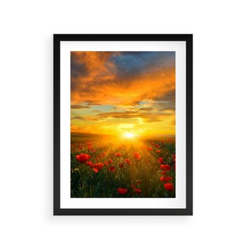 Plakat w ramie 40x50 - Magia zachodu słońca na łące z makami - łąka, zachód słońca - rama czarna