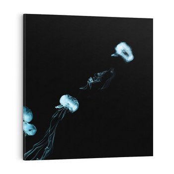Obraz na płótnie 50x50 - Dym w abstrakcji - dym, abstrakcja