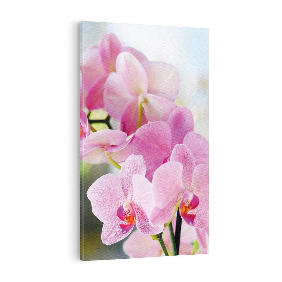 Obraz na płótnie 80x120 - Elegancja orchidei - orchidea, kwiaty