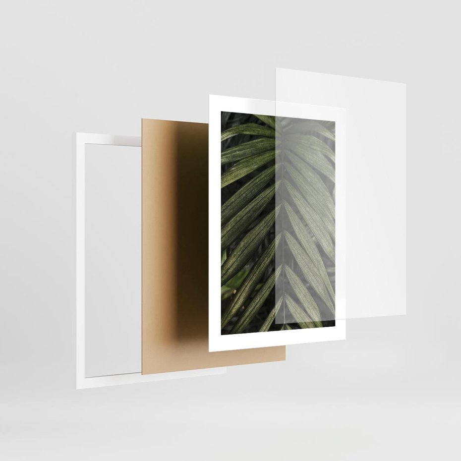 Plakat w ramie 30x40 - W Liściach Ukryte - zdjęcie, fotografia - rama biała