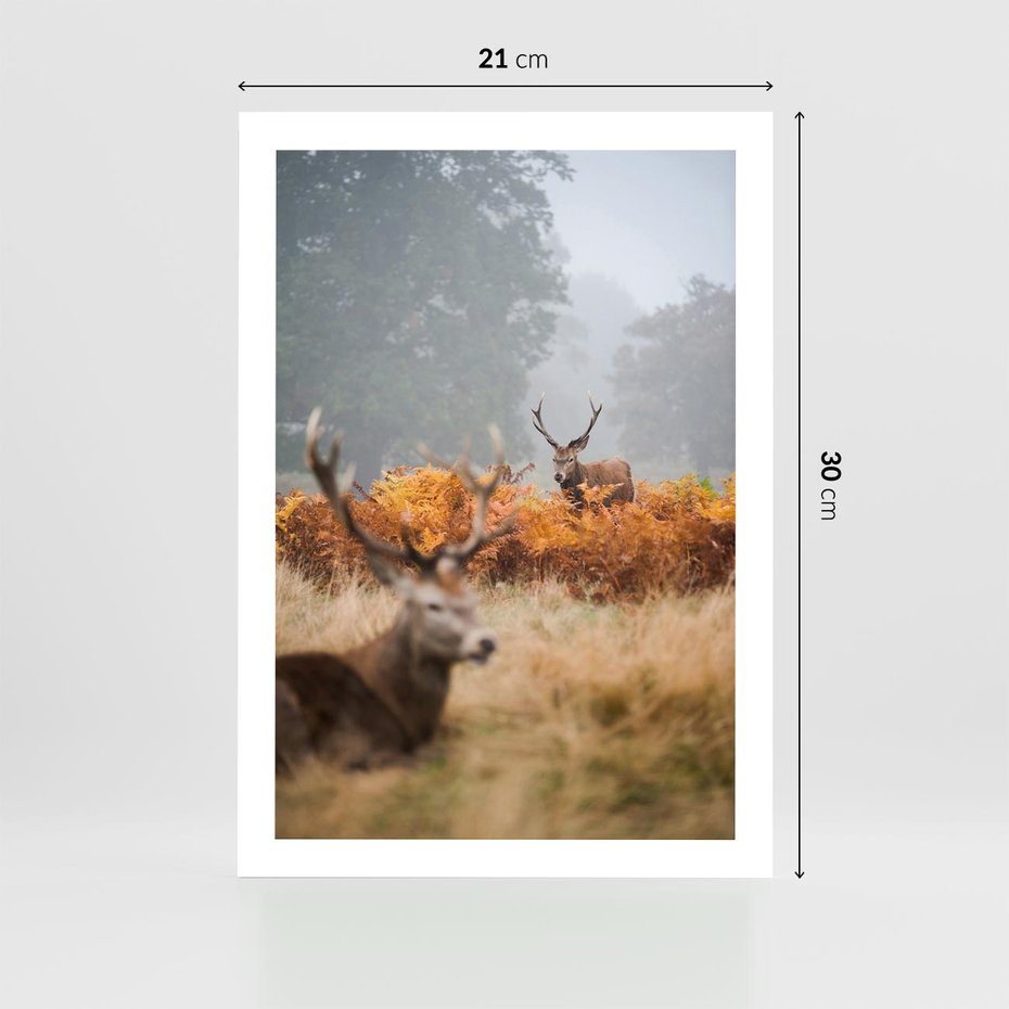 Plakat bez ramy 21x30 - Malownicza Harmonia - jelenie, jesień