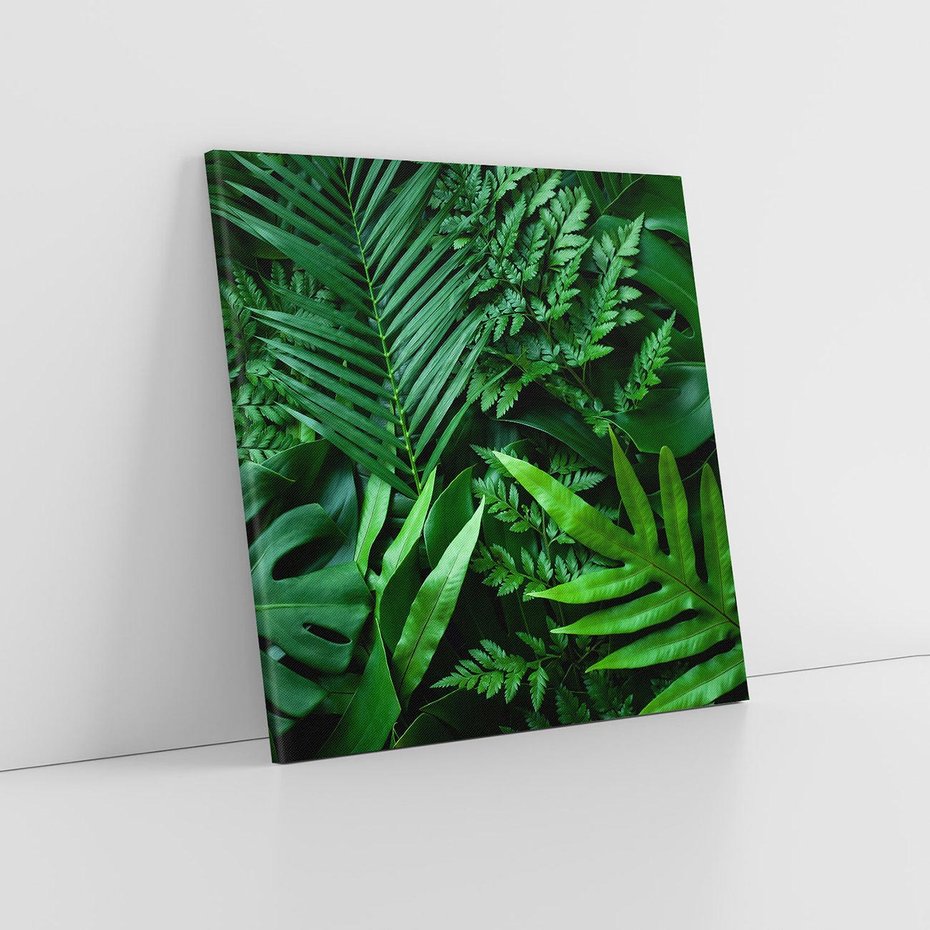 Obraz na płótnie 80x80 - Monstera Liście Fantazja - monstera, liście