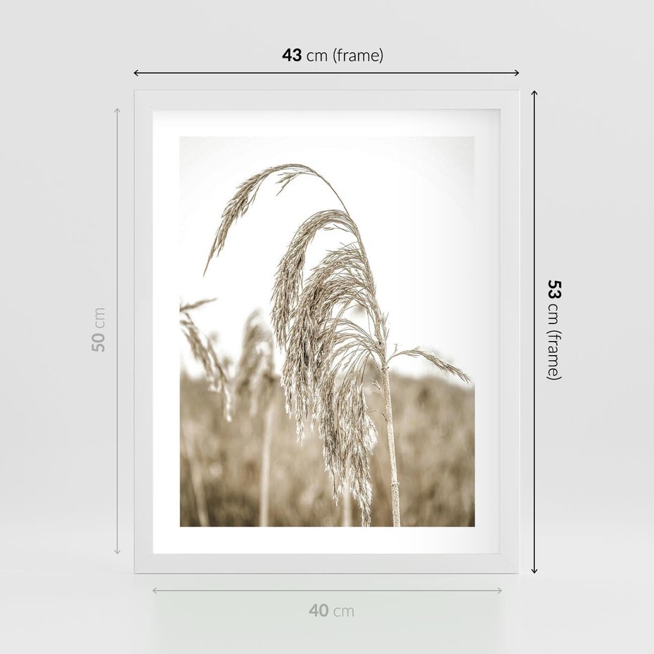 Plakat w ramie 40x50 - Ujęcie Suchych Traw - suche trawy, zbliżenie - rama biała