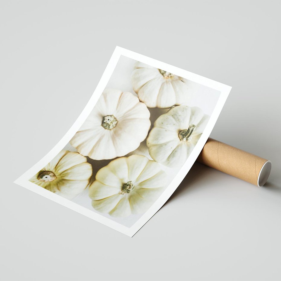 Plakat bez ramy 40x50 - Jesienne Dynie: Delikatna Kompozycja - białe dynie, jasna kompozycja