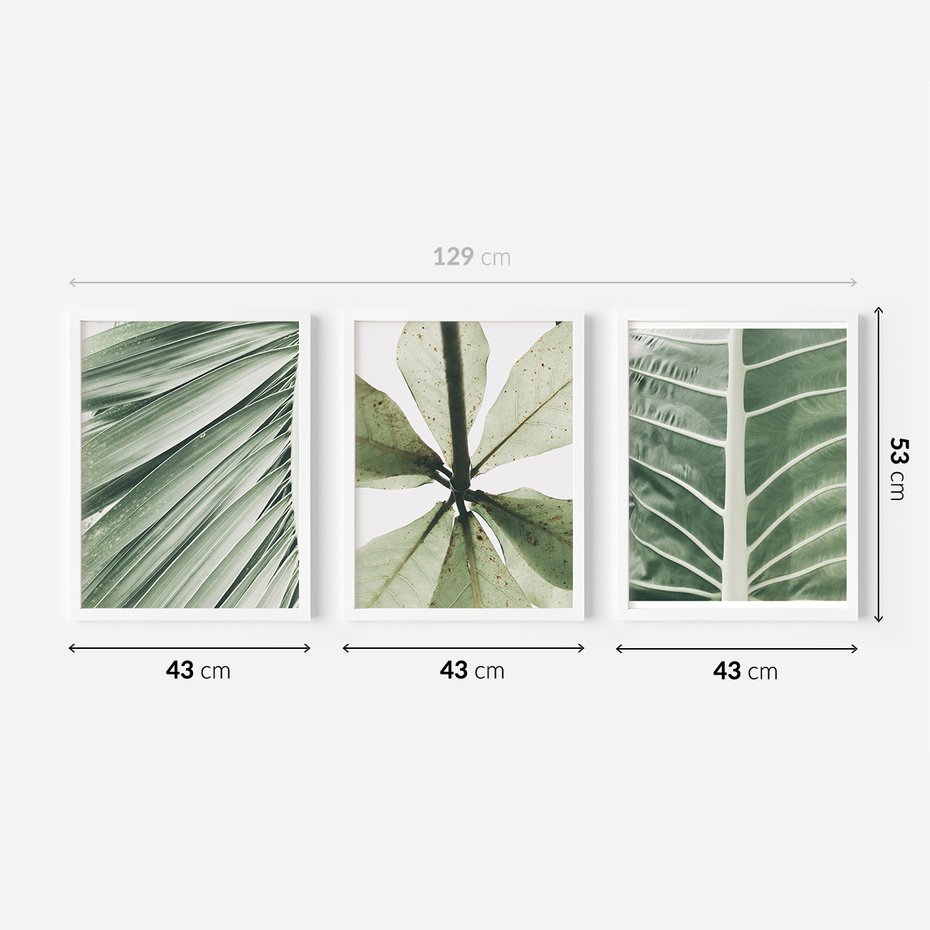 Zestaw obrazy w ramie 40x50 galeria - Liście, minimalizm, zieleń - rama biała