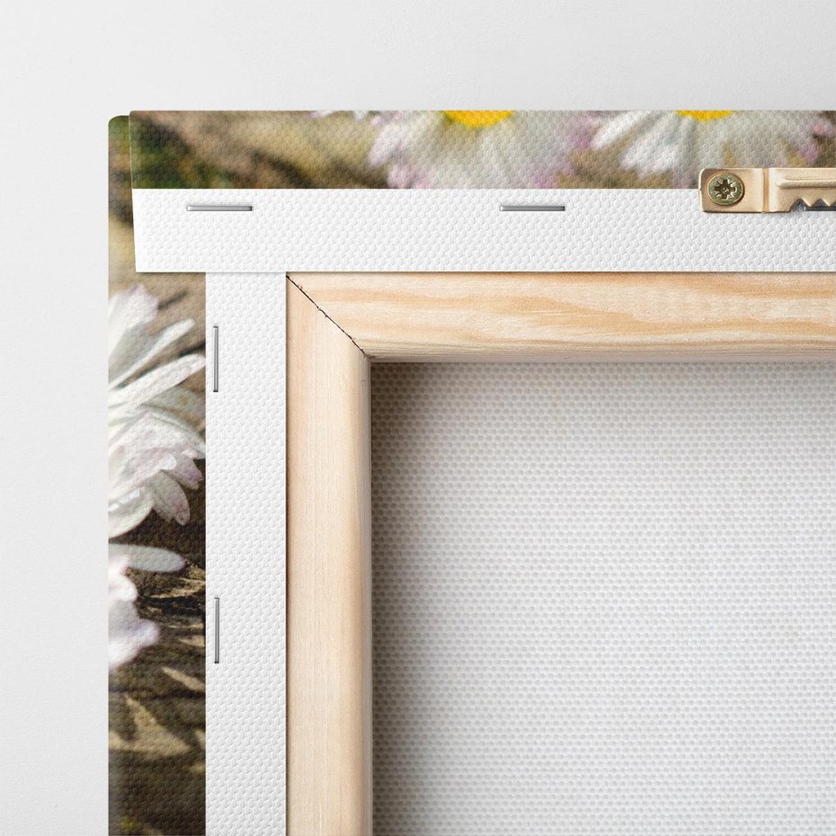 Obraz na płótnie 120x80 - Stokrotki w naturalnym otoczeniu - stokrotki, natura