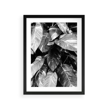 Plakat w ramie 30x40 - Liście w Czarno-Białej Fotografii - liście, roślina - rama czarna