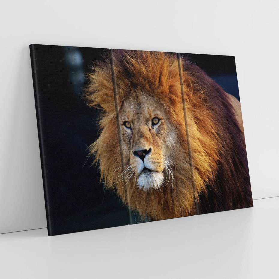 Obraz na płótnie 120x80 - Lew - Król Zwierząt - lew, zwierzęta