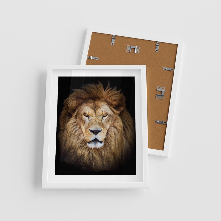 Plakat w ramie 40x50 - Król zwierząt w majestatycznym stylu - lew, król - rama biała