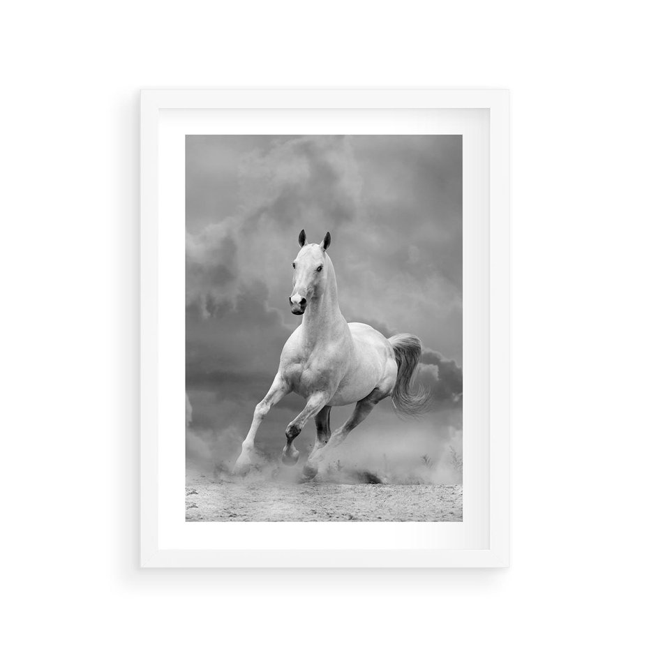 Plakat w ramie 30x40 - Elegancja w Czarno-Białym - koń, biało - rama biała