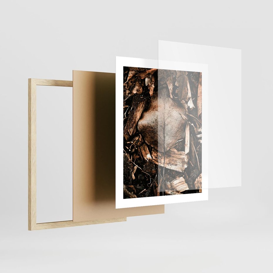 Plakat w ramie 40x50 - Samotny Liść - liść, brąz - rama drewno