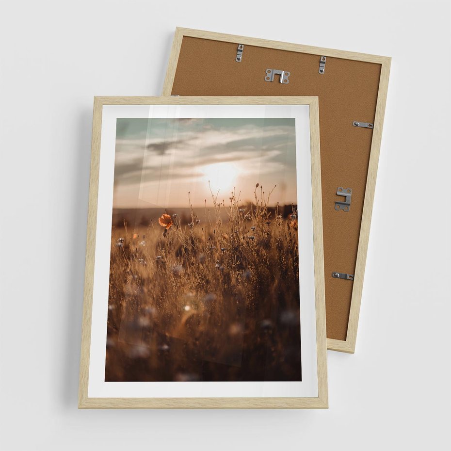 Plakat w ramie 50x70 - Zachwyt zachodem słońca na łące - zachód, słońca - rama drewno