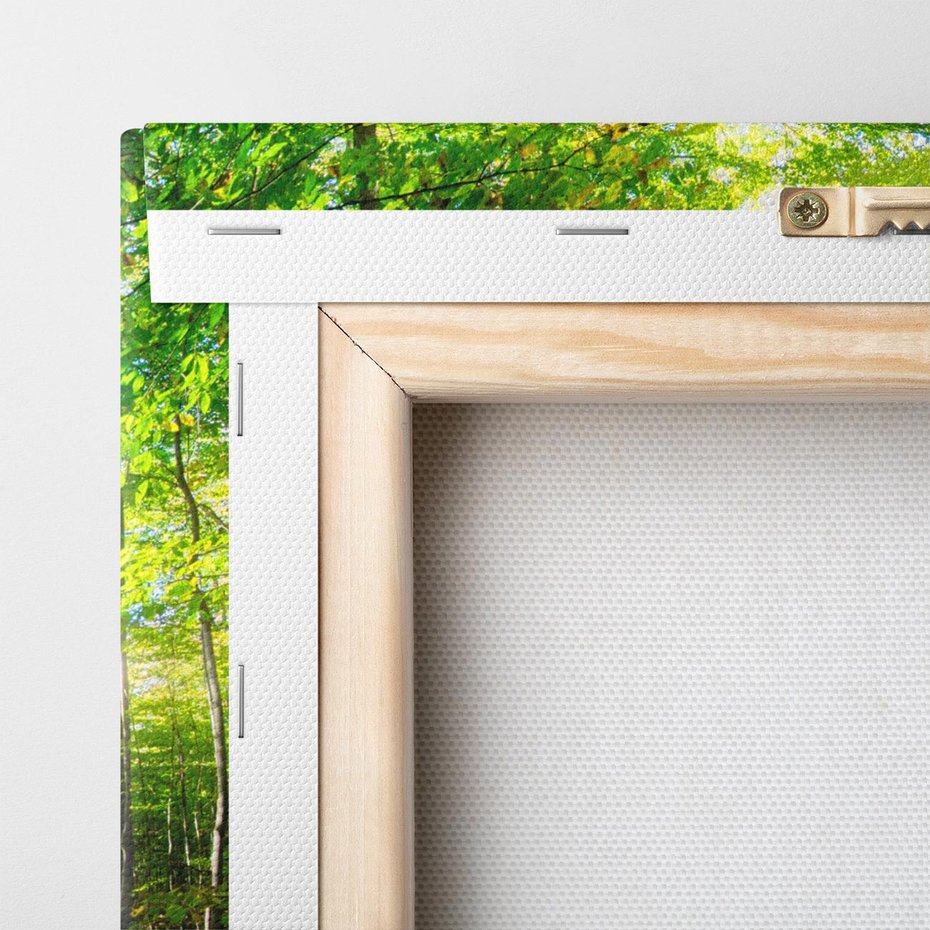 Obraz na płótnie 120x80 - Drzewa w harmonii - las, drzewa