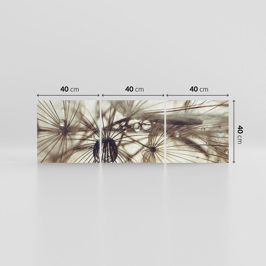 Obraz na płótnie 120x40 - Lekkie dmuchawce - dmuchawce, krople