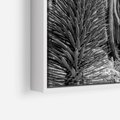 Obraz w ramie 80x80 - Pustynny Klimat - czarno białe zdjecie, pustynia - rama biała