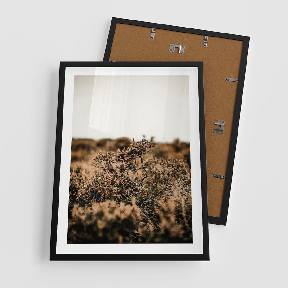 Plakat w ramie 50x70 - Krajobraz W Naturze: Beże i Brązy - suche krzewy, natura - rama czarna