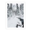 Plakat bez ramy 21x30 - Spokój Zimowego Lasu w Górach - zima w lesie, w górach