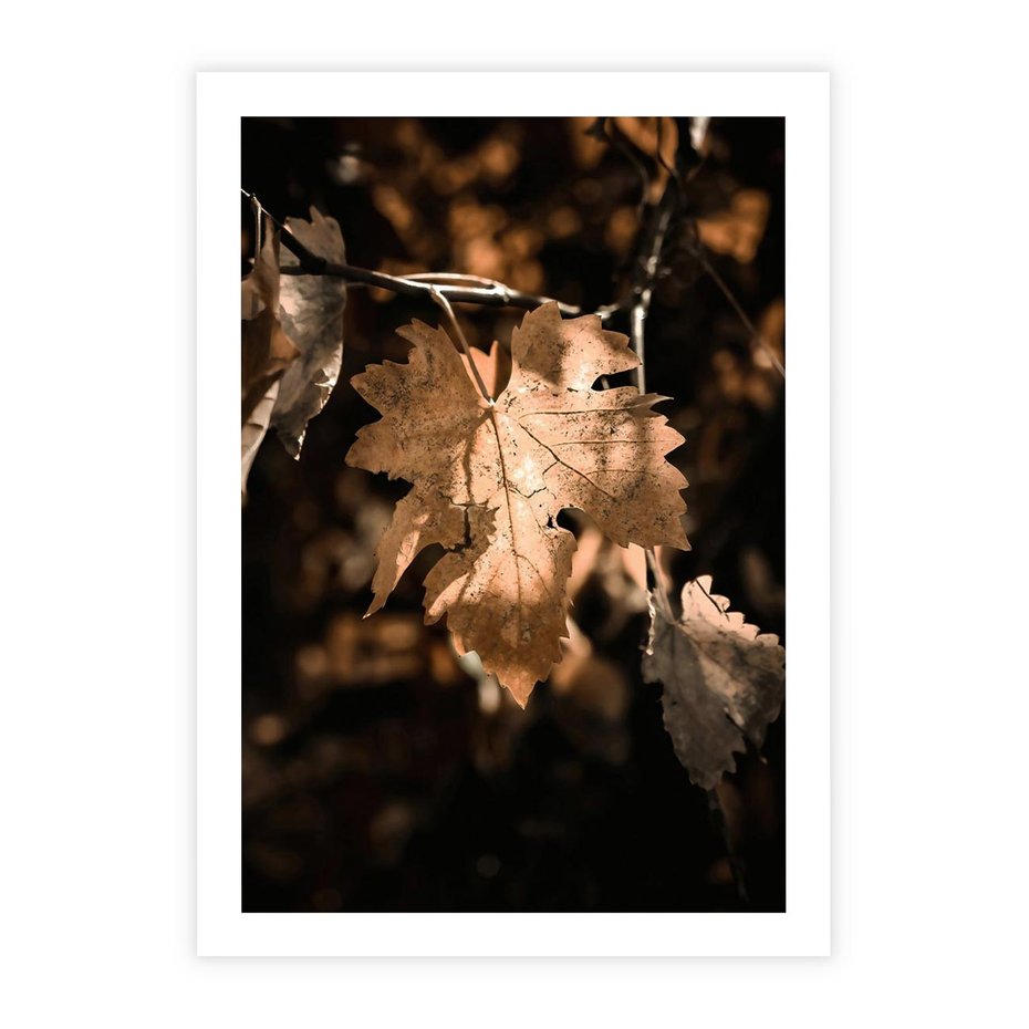 Plakat bez ramy 40x50 - Uroczy Liść na Drzewie - jesienny liść, żółty liść na drzewie