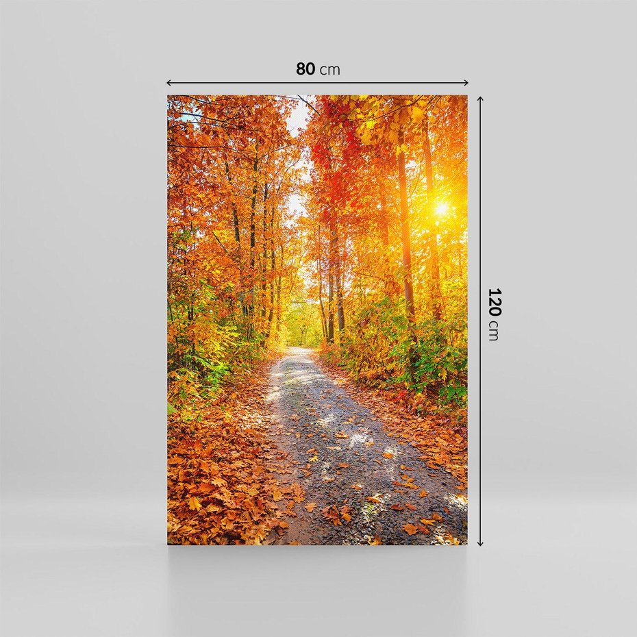 Obraz na płótnie 80x120 - Kolorowe drzewa na ścieżce jesieni - las, jesień
