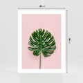 Plakat bez ramy 30x40 - Egzotyczna Roślinność - liście, monstera