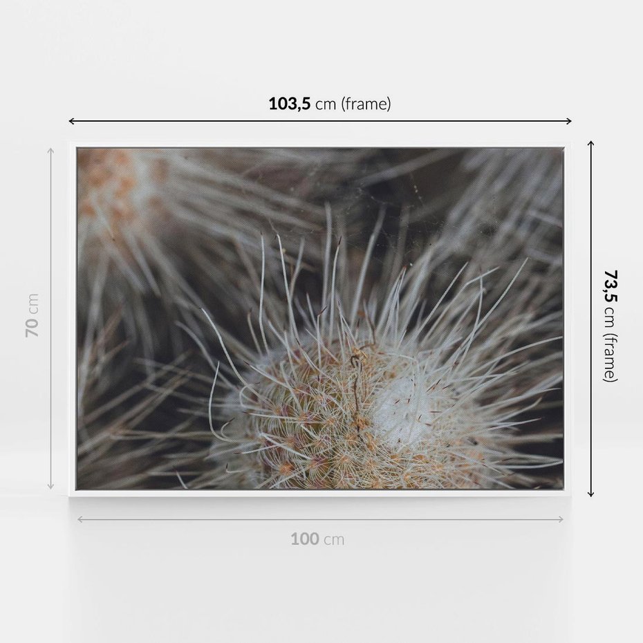 Obraz w ramie 100x70 - Ulotna Piękność Natury - makro, dmuchawce - rama biała