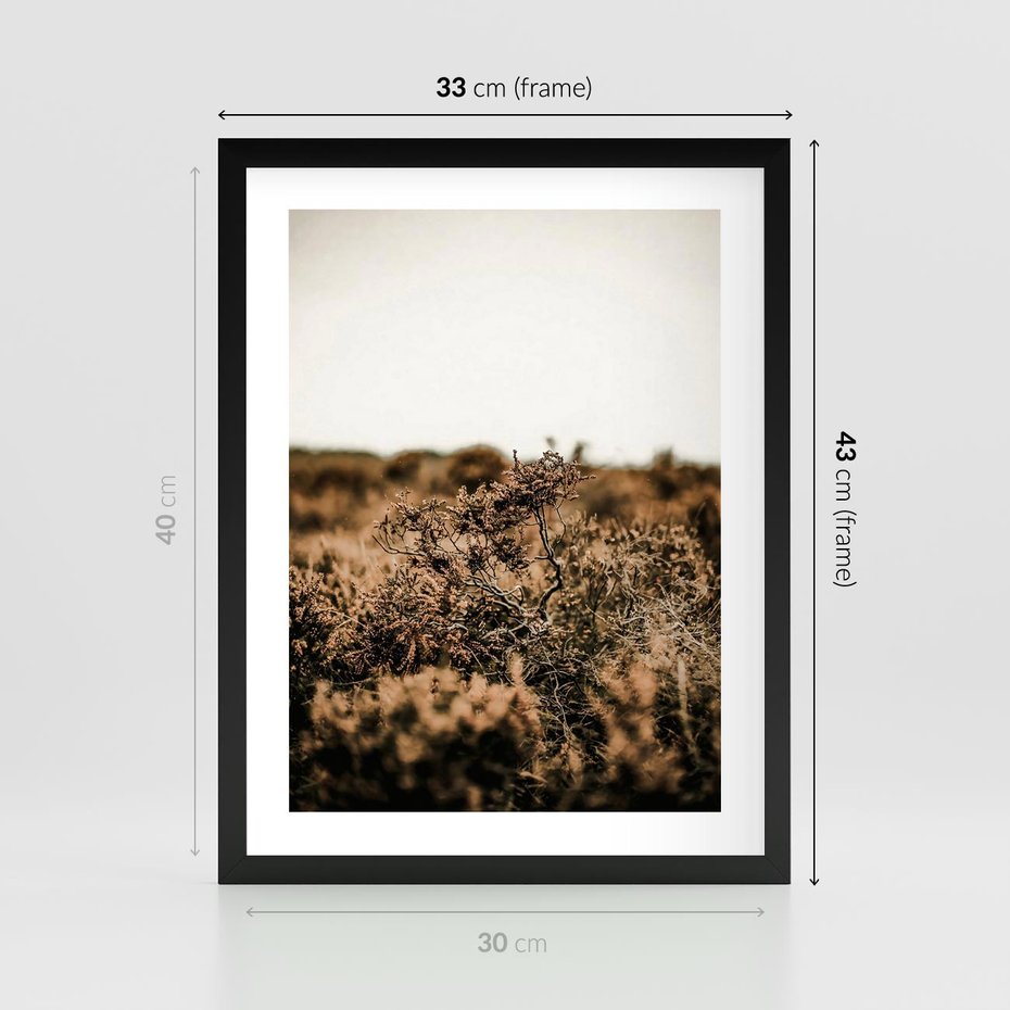 Plakat w ramie 30x40 - Krajobraz W Naturze: Beże i Brązy - suche krzewy, natura - rama czarna