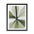 Plakat w ramie 50x70 - Jasna Zieleń w Makro - makro zdjęcie liści, jasna zieleń - rama czarna