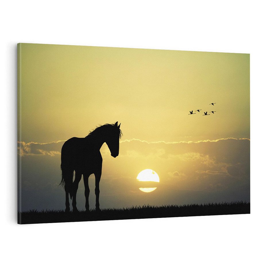 Obraz na płótnie 100x70 - Koń w Zachodnim Świetle - koń, ptaki