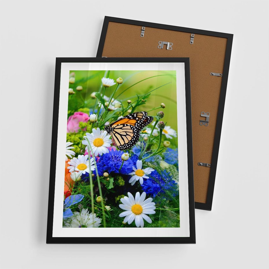 Plakat w ramie 50x70 - Kwiatowy Taniec - motyl, kwiaty - rama czarna