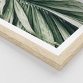 Plakat w ramie 50x70 - Spokojna Piękność Palmowych Liści - palma, liście palmy - rama drewno