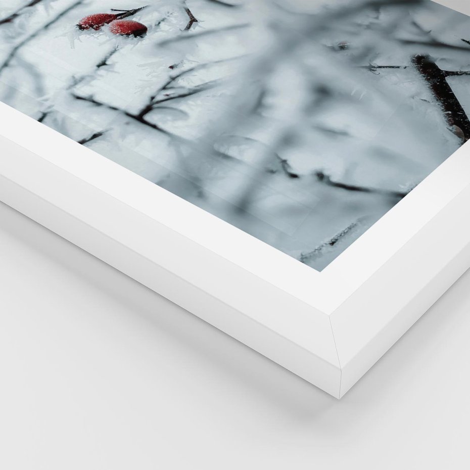 Plakat w ramie 30x40 - Zima w Detalu: Gałęzie ze Szronem i Śniegiem - śnieg, zima - rama biała