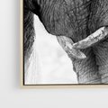 Obraz w ramie 50x50 - Spotkanie Mądrości - fotografia czarno biała, dwa słonie - rama drewno