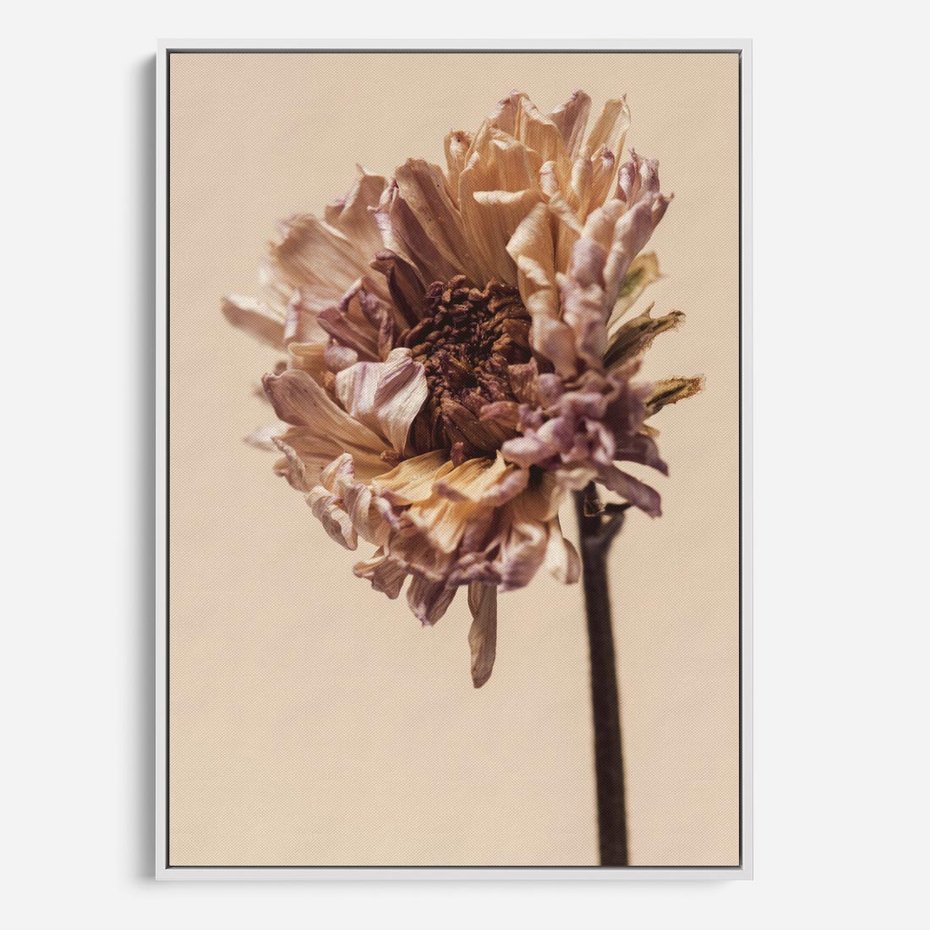 Obraz w ramie 70x100 - Delikatne piękno - suche, kwiaty - rama biała