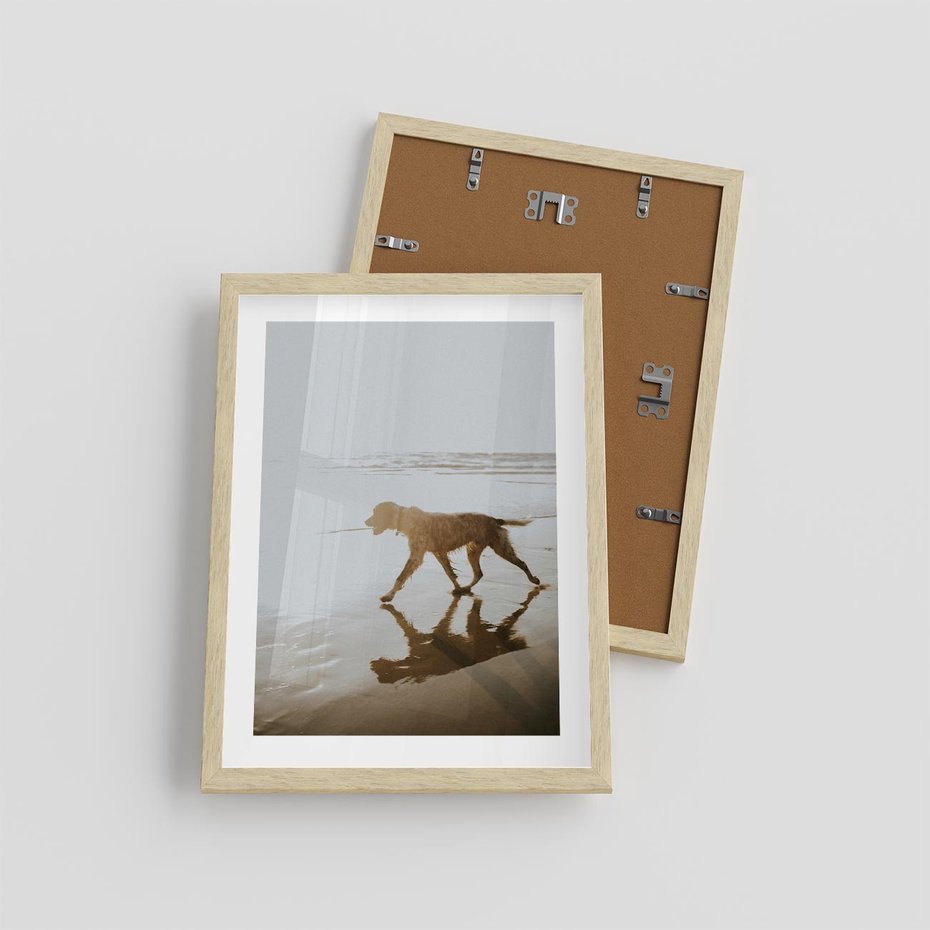 Plakat w ramie 30x40 - Przyjaciel na Plaży - pies, na plaży - rama drewno