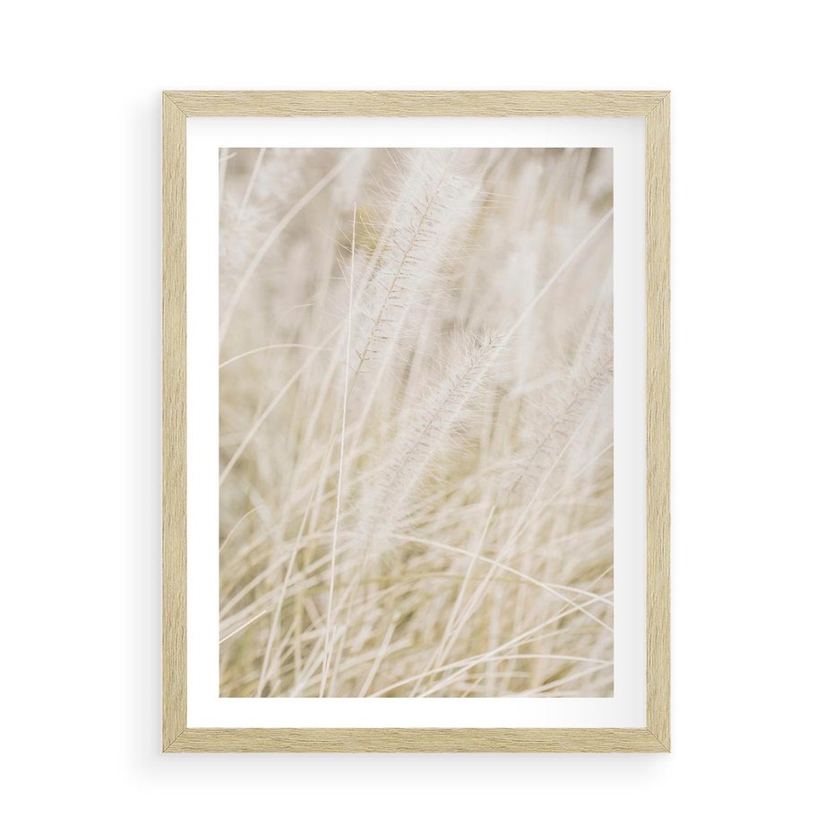 Plakat w ramie 50x70 - Białe Trawy Pampas - suche trawy, białe trawy - rama drewno