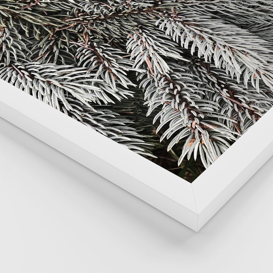 Zestaw obrazy w ramie 50x70 galeria - Las, zima, kawa - rama biała