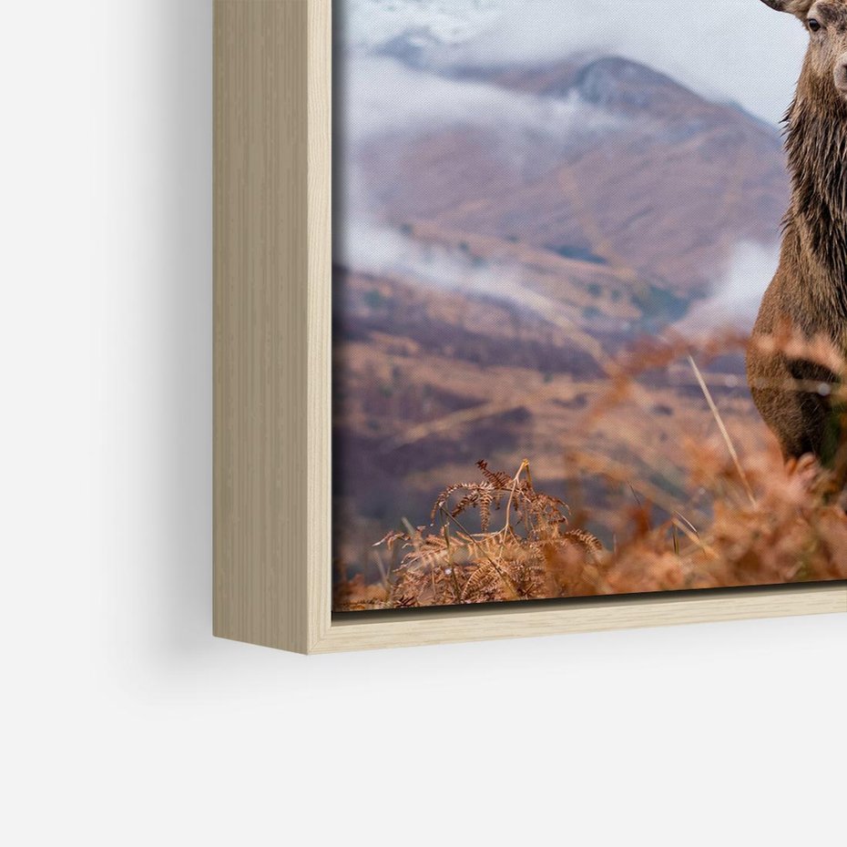 Obraz w ramie 80x80 - Jeleń w Uśpionym Krajobrazie - jeleń na tle gór, ośnieżone góry - rama drewno