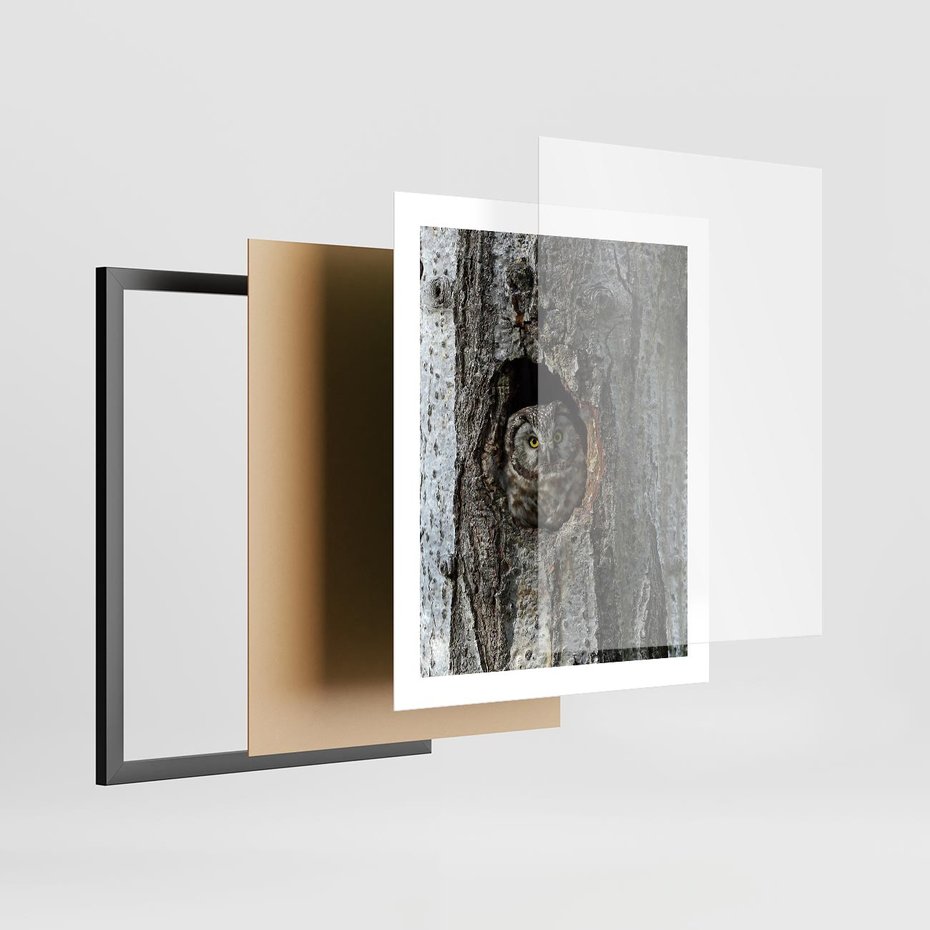 Plakat w ramie 40x50 - Tajemniczy W świecie Nocy - sowa, dziupla - rama czarna