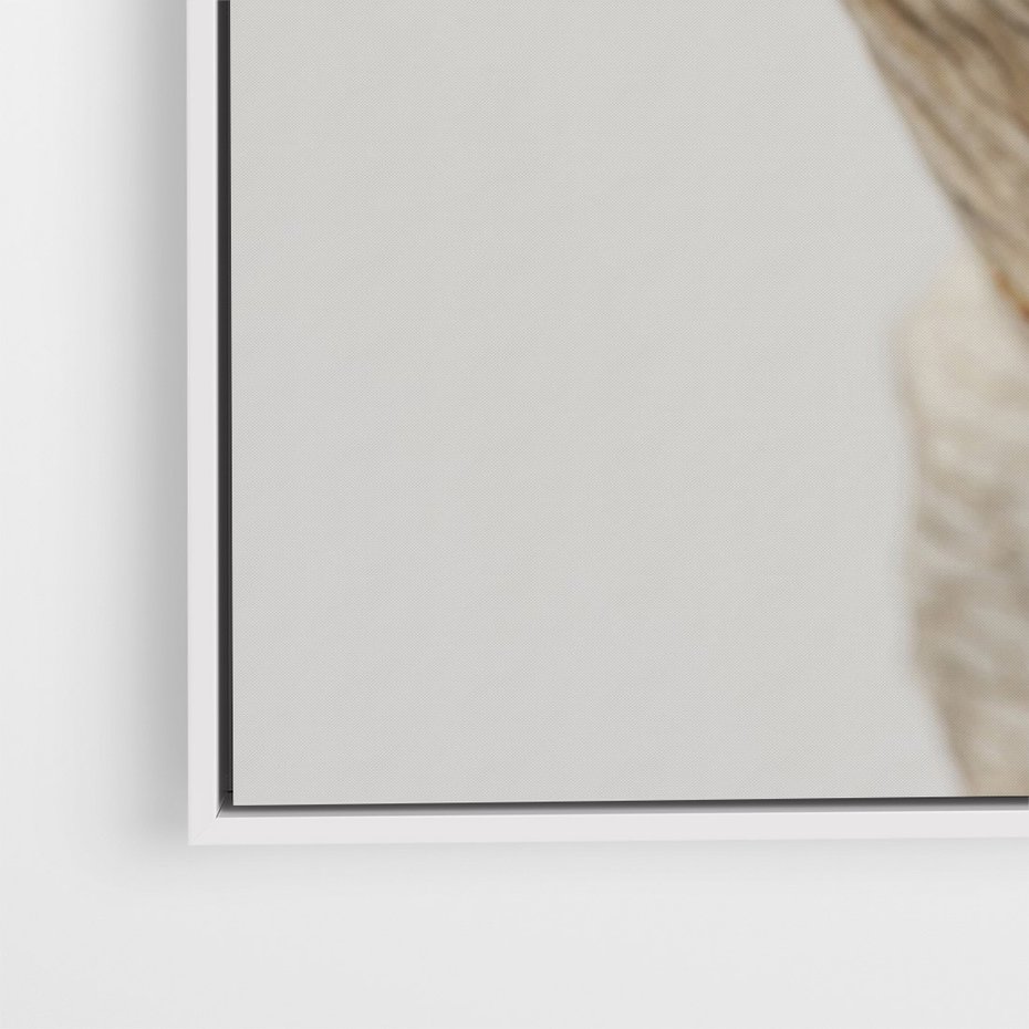 Obraz w ramie 50x70 - Suszone piękno - susz, suche - rama biała