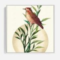 Obraz w ramie 50x50 - Rozkwitająca Delikatność - japońska sztuka, ptak - rama biała