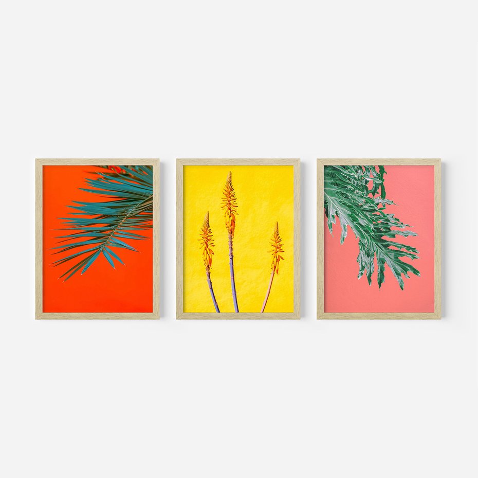 Zestaw obrazy w ramie 50x70 galeria - Rośliny, liście, kolorowe, energetyczne, tło - rama drewno