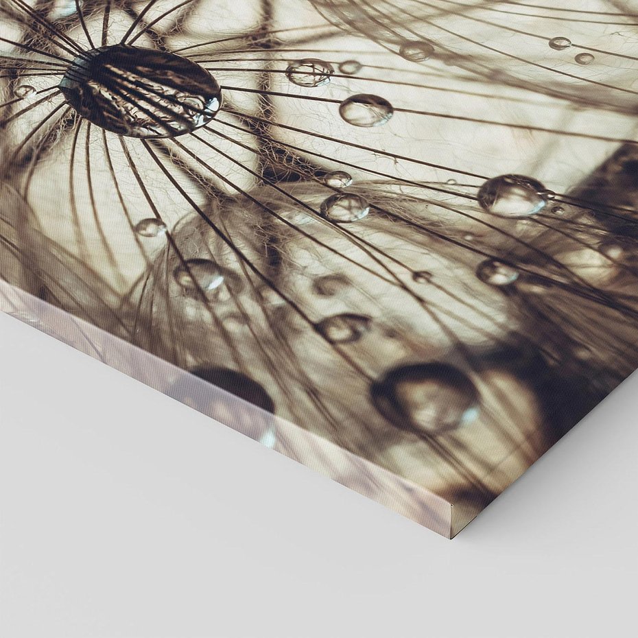 Obraz na płótnie 50x70 - Lekkie dmuchawce - dmuchawce, krople