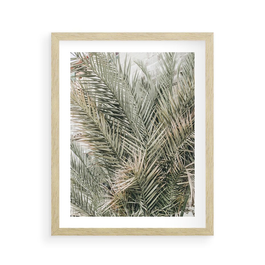 Plakat w ramie 40x50 - Egzotyczny Świat Palm - palmy, liście palmy - rama drewno