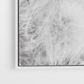 Obraz w ramie 50x70 - Zdmuchnięty Puch - dmuchawce, delikatne - rama biała