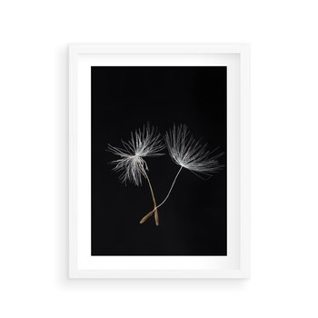 Plakat w ramie 30x40 - Delikatność Wiatru - dmuchawce, makro - rama biała