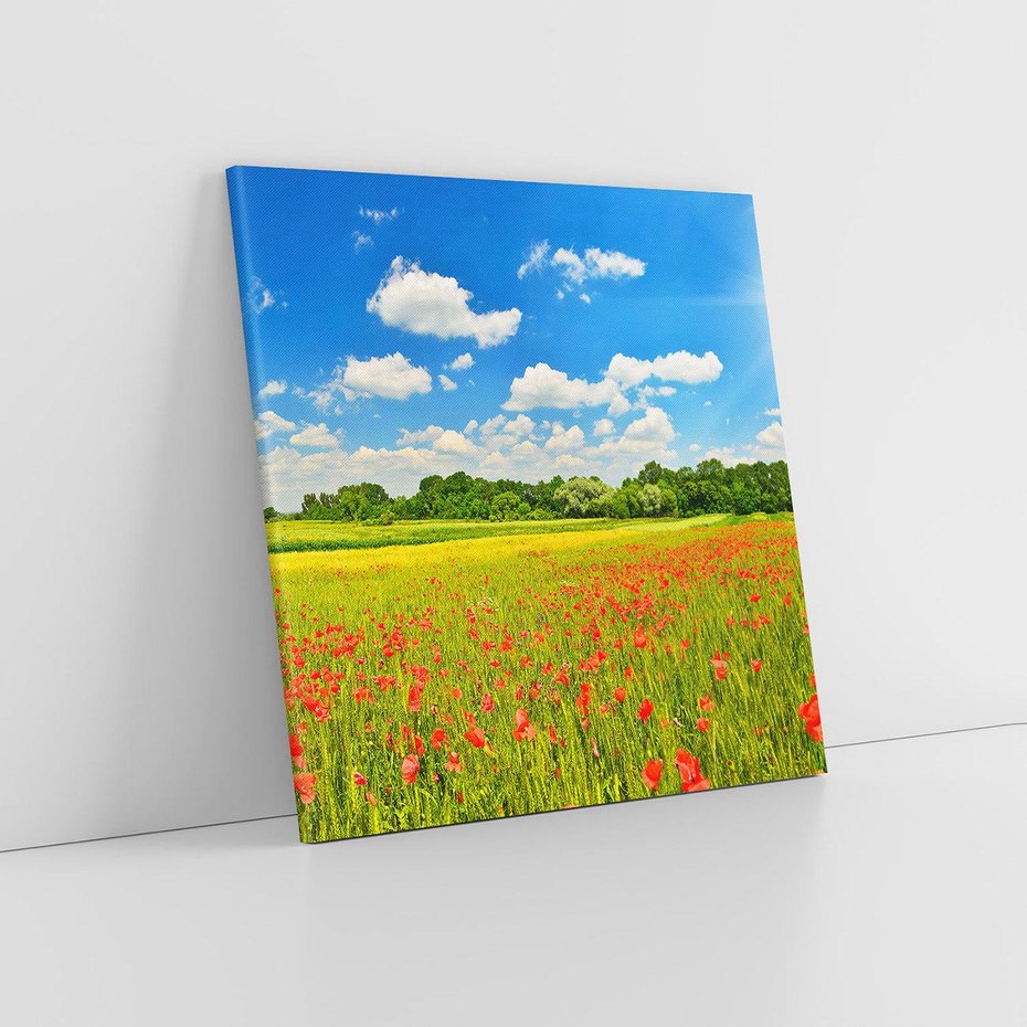 Obraz na płótnie 40x40 - Malownicze maki na łące - maki, łąka